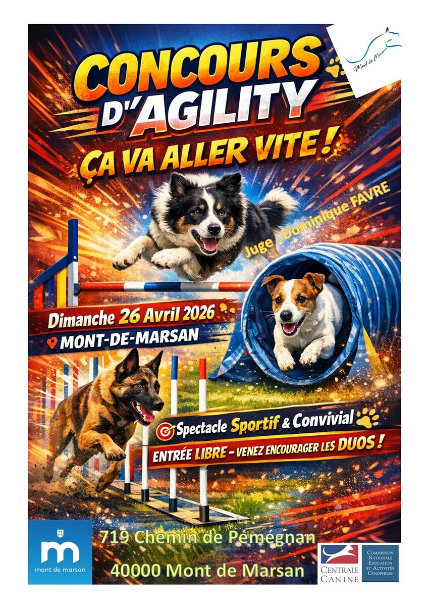 Concours d'Agility