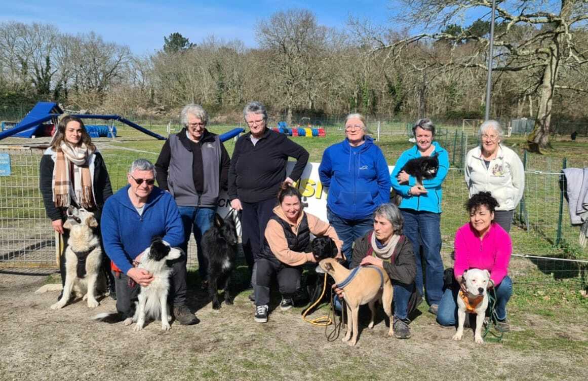 STAGE CHIENS VISITEURS