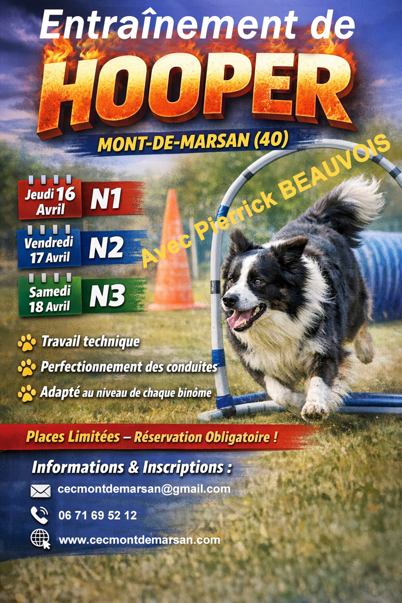 Entraînement de Hoopers avec Pierrick BEAUVOIS