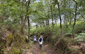 Canimarche à Bougue
