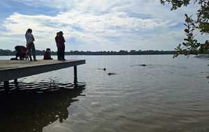 Cani paddle du 27/09/2026