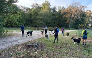 Canicross/marche/trot du 18 octobre 2026