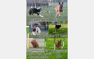 Concours de HOOPERS à NARCASTETS