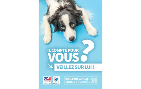 Bien être animal