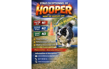 Stage de Hoopers avec Pierrick BEAUVOIS