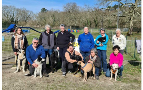 STAGE CHIENS VISITEURS