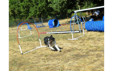 HOOPER Confirmés vendredi de 16h30 à 17h15