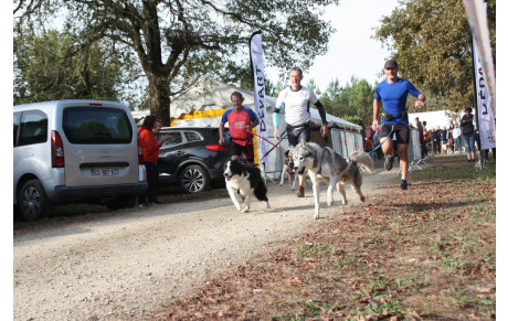 ENTRAÎNEMENT CANICROSS