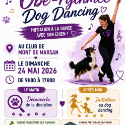Journée Dog Dancing