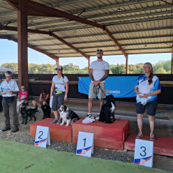 Concours d'agility des 5 et 6 septembre 2026