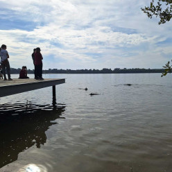 Cani paddle du 27/09/2026