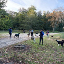 Canicross/marche/trot du 18 octobre 2026