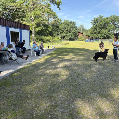 Journée Dog Dancing