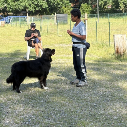 Journée Dog Dancing