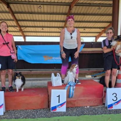Concours d'agility à yzosse